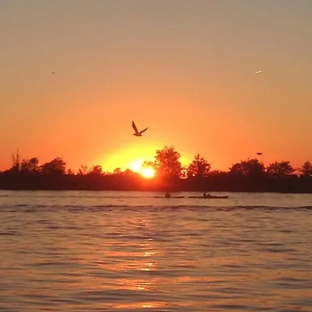 Apartment In Prachtige Hart Nederland *